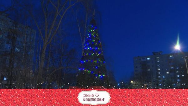 В Подмосковье наступила зима.