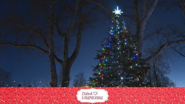 Зима уже вступила в свои права.