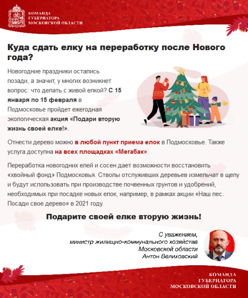 Подари вторую жизнь своей елке!