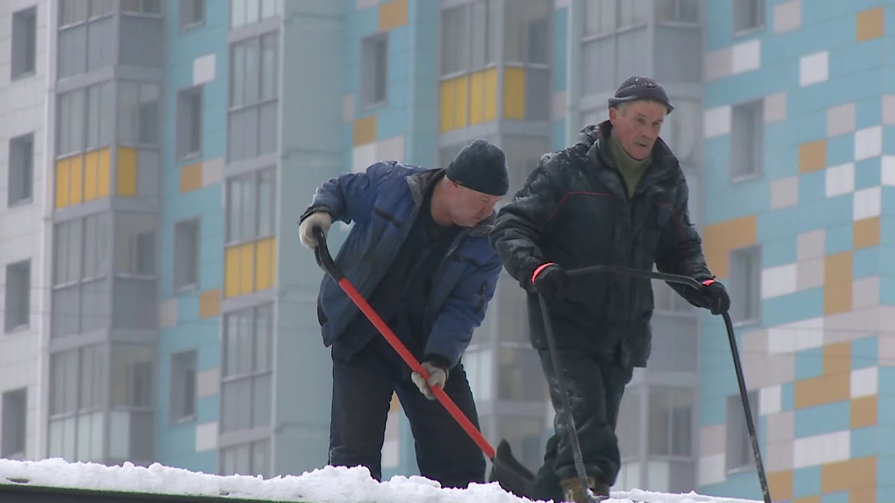 Новости — Страница 659 — Раменское телевидение