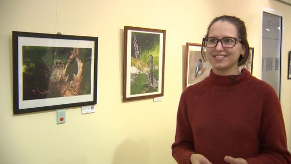 Увидеть и услышать фотовыставку «Голоса природы» можно в Раменском историко-художественном музее.