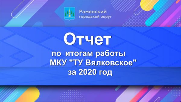 Отчет по итогам работы МКУ «ТУ Вялковское» за 2020 год