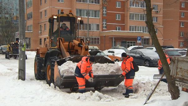 Зима в этом году полна сюрпризов — то оттепель, то морозы, то снегопад.