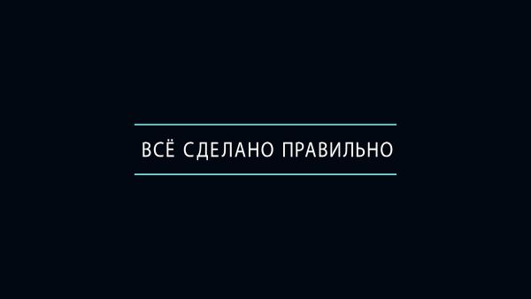 «Все сделано правильно»