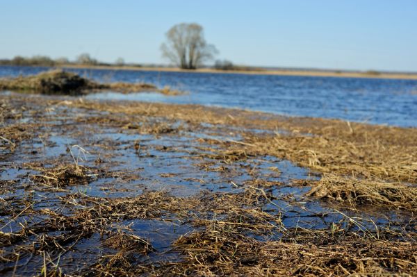 Мособлгаз проводит комплекс мероприятий по обеспечению безопасного газоснабжения в период весеннего половодья.