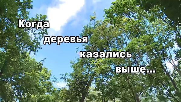 Фильм «Когда деревья казались выше….»