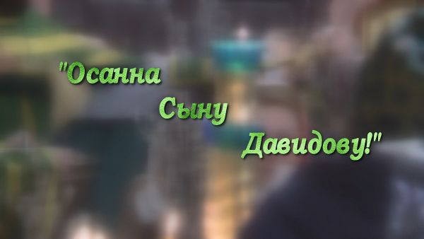 Благовест «Осанна Сыну Давидову!»