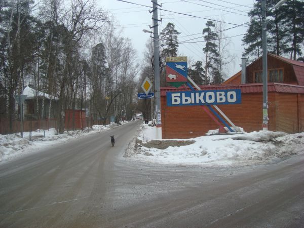 Для поселка Быково АО «Мособлэнерго» заменило силовой трансформатор