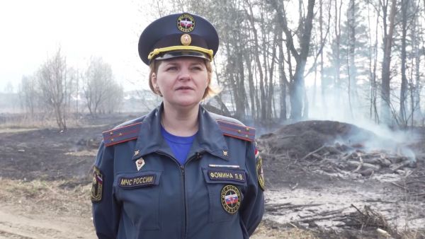 Снежный покров сошел и обнажил высохшую траву.