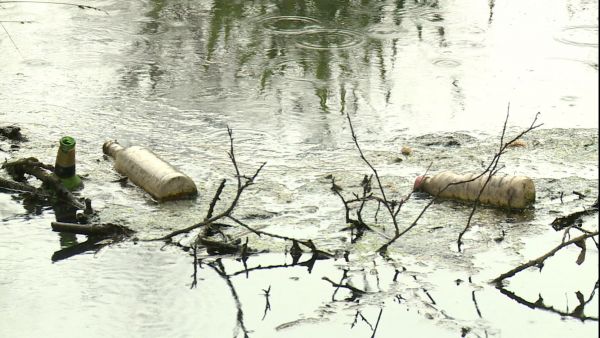 Минэкологии: раменское предприятие наказано за загрязнение водного объекта