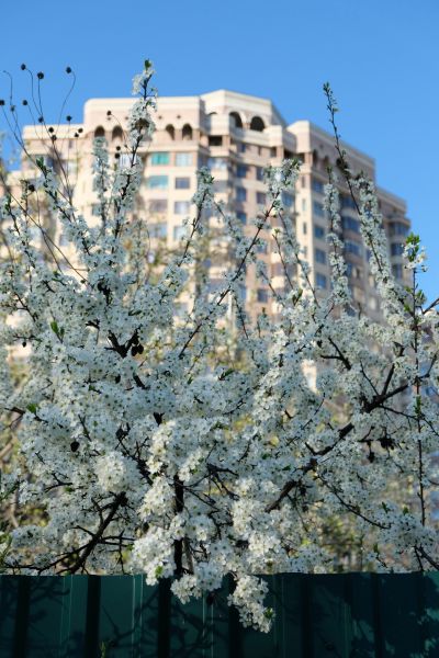 Вот и пришло в Раменский городской округ долгожданное тепло!
