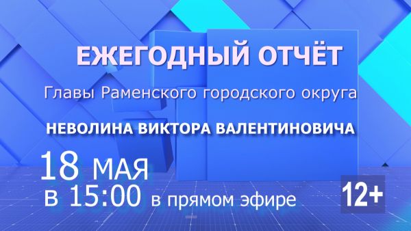 Отчёт Главы Раменского городского округа о результатах своей деятельности за 2020 год.