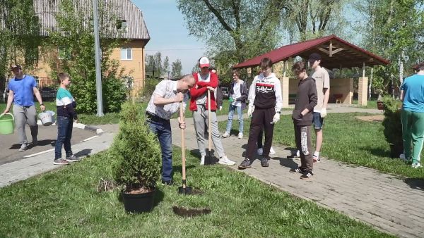 На территории Дергаевской школы высадили 20 туй в рамках акции «Лес Победы».