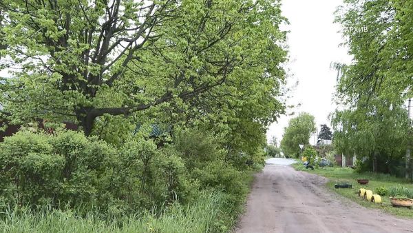 По всей стране продолжатся сезон активности клещей.