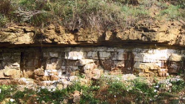 Депутаты Совета депутатов Раменского городского округа в ходе выездного заседания побывали в Гжели.