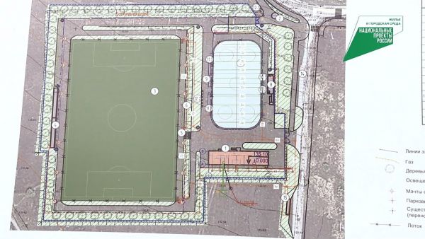 Круглый год играть в футбол и хоккей.