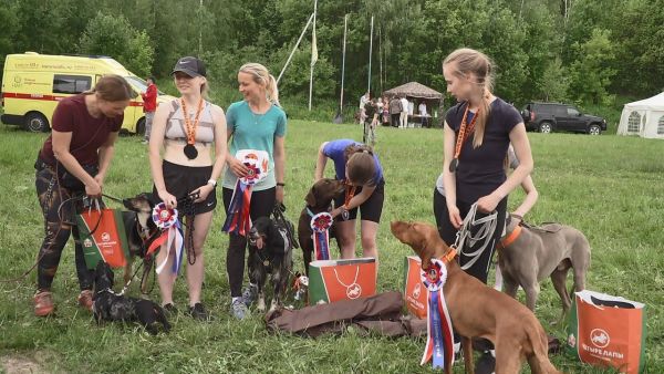 Впервые на Боровском кургане прошел каникросс Russian Extreme Dog Trail.