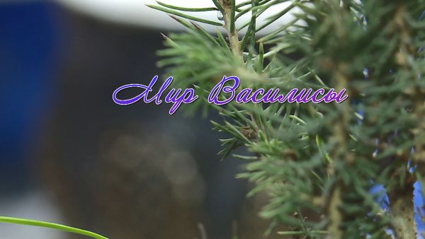 «Художники Гжели». Фильм десятый.Василиса Юдина. «Мир Василисы».