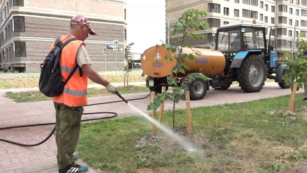Для поливочных работ достаточно иметь всего двух сотрудников.