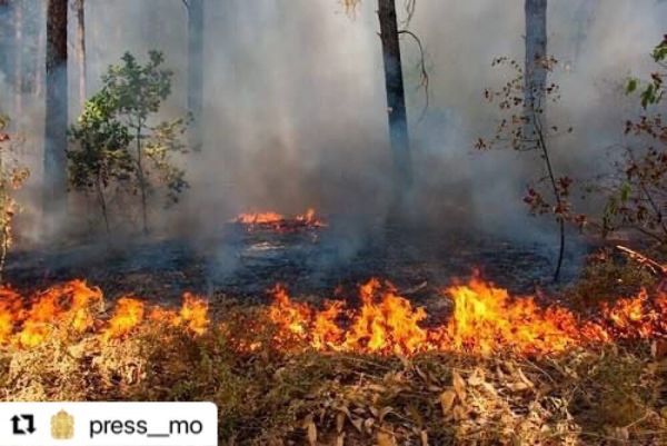 Уважаемые жители Раменского городского округа!