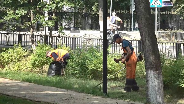 Как известно, лето, непростая пора для сотрудников МБУ.