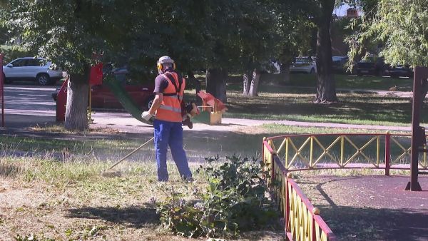 Покос травы проходит в несколько этапов.