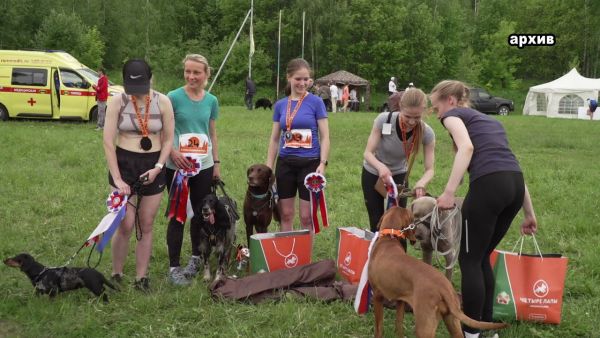 Всех хозяев собак, проживающих в Московской области, ждут новые штрафы