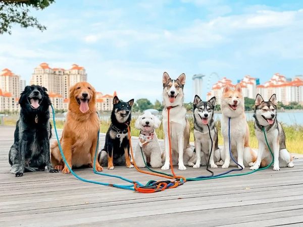 Информация для жителей Раменского г.о.!