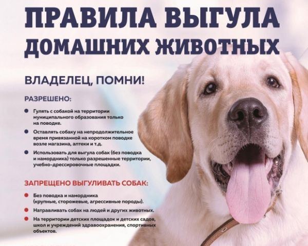 Полезная информация для жителей Раменского городского округа!