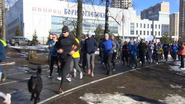 Дворец спорта «Борисоглебский».