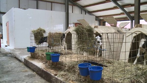 Сельскохозяйственная перепись – единственный источник наиболее полных данных о сельском хозяйстве.