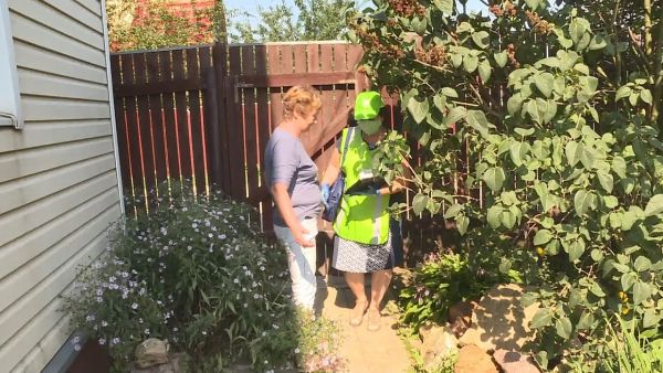 Сельскохозяйственная перепись в Раменском г.о набирает обороты