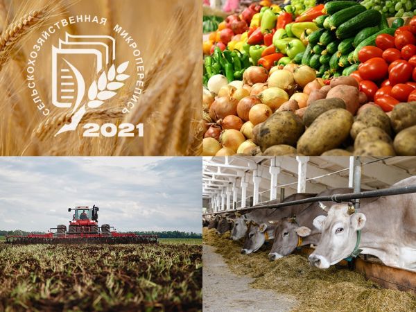 Что дает начавшаяся в РФ первая сельскохозяйственная микроперепись?