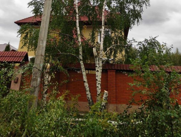 Раменский филиал АО «Мособлэнерго» расчистил охранные зоны ЛЭП в деревнях Вялки и Минино