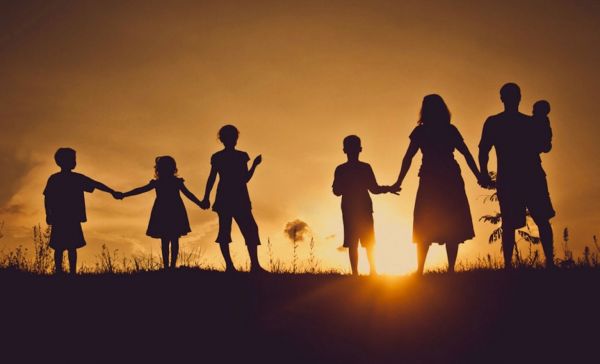 Электронные удостоверения многодетных семей начнут выдавать в Подмосковье с 17 сентября