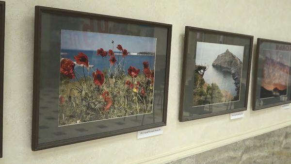 «Медиа – неделя Подмосковья».