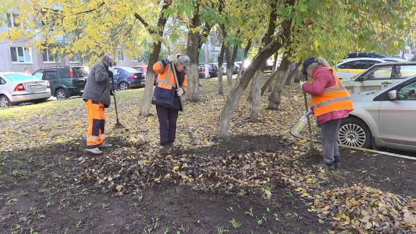 Раменские коммунальные службы приступили к частичной уборке опавших листьев.