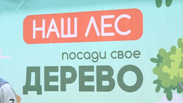 В Раменском городском округе прошла экологическая акция «Наш лес. Посади свое дерево».