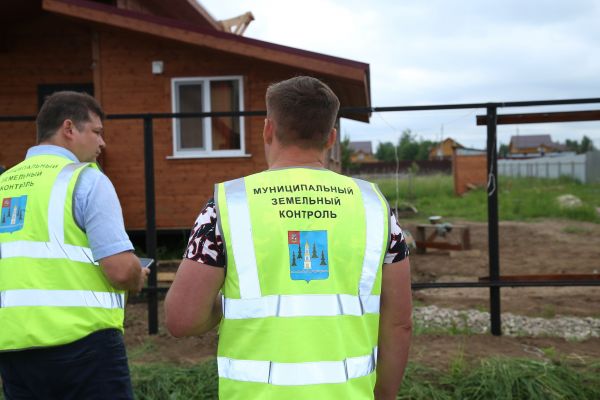 На территории Раменского городского округа борщевиком Сосновского поражено 350 га земли