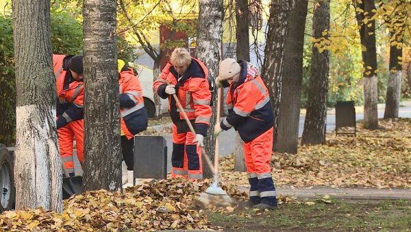 Осенью все силы бросают на уборку листьев.