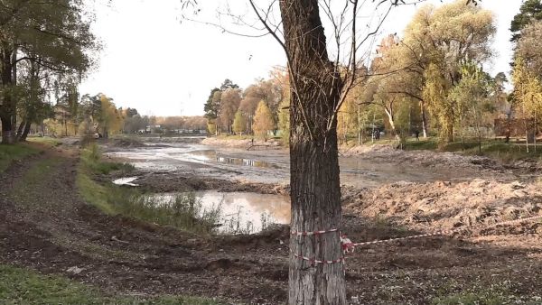 В ТУ «Быково» начались работы по экологической реабилитации и санитарной очистке пруда.