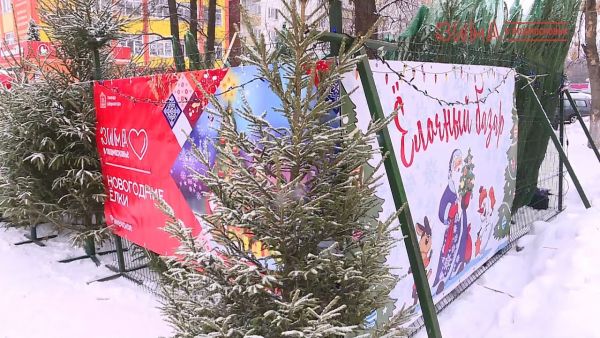 В преддверии Нового года в Раменском городском округе начали работать «Елочные базары».