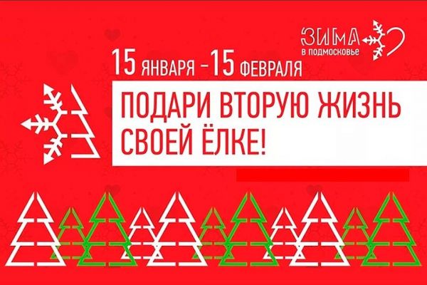 В Раменском откроются два пункта приема новогодних деревьев в рамках акции «Подари своей ёлке вторую жизнь»