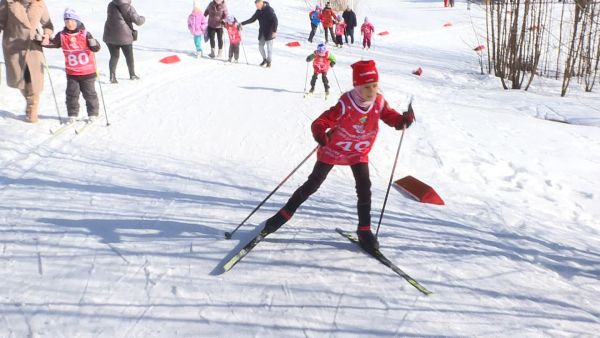 Соревнования для детей «Ладушки-Оладушки» состоялись в 60 округах Подмосковья.