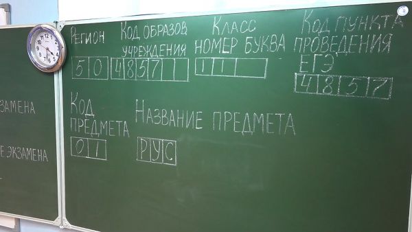 Взрослые решили на себе проверить, каково это сдавать ЕГЭ, и написали пробный — по русскому языку.