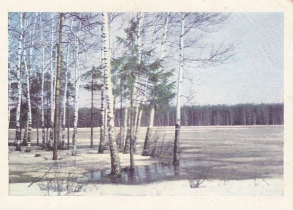 Поддержи природу родного края