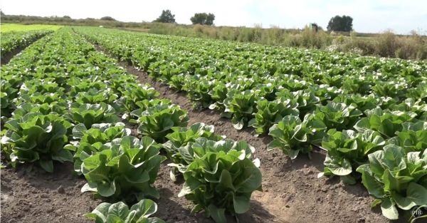 Поддержка для бизнеса теперь работает 24/7.