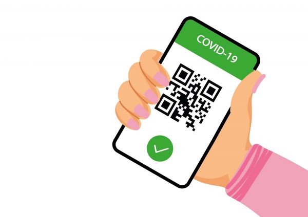 В Подмосковье отменяют QR-коды и ограничения в сфере массовых мероприятий с 4 марта