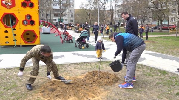 Ежегодная акция «Лес победы».
