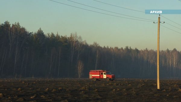 В 98 случаях в лесных пожарах причиной всегда является человек.